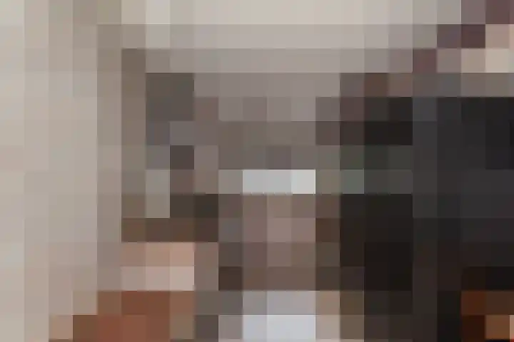 IJsvogel 11 Alblasserdam thumbnail 11