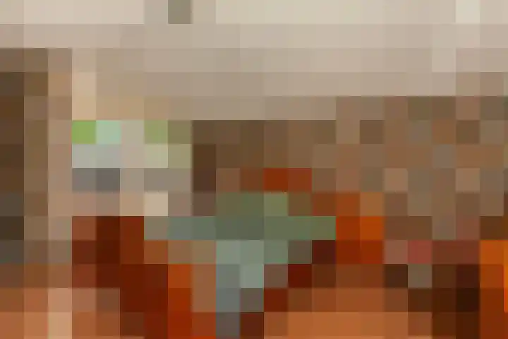 IJsvogel 11 Alblasserdam thumbnail 13