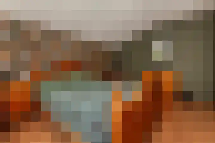 IJsvogel 11 Alblasserdam thumbnail 14