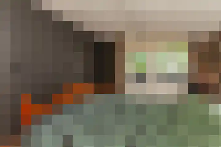 IJsvogel 11 Alblasserdam thumbnail 15
