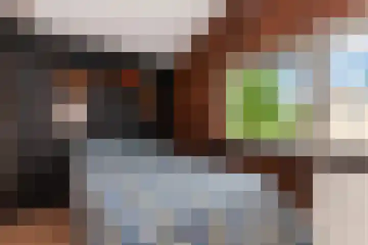 IJsvogel 11 Alblasserdam thumbnail 16