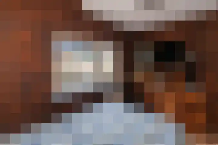 IJsvogel 11 Alblasserdam thumbnail 17