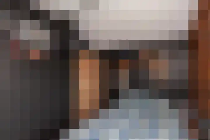 IJsvogel 11 Alblasserdam thumbnail 18