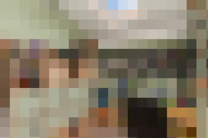 IJsvogel 11 Alblasserdam thumbnail 19