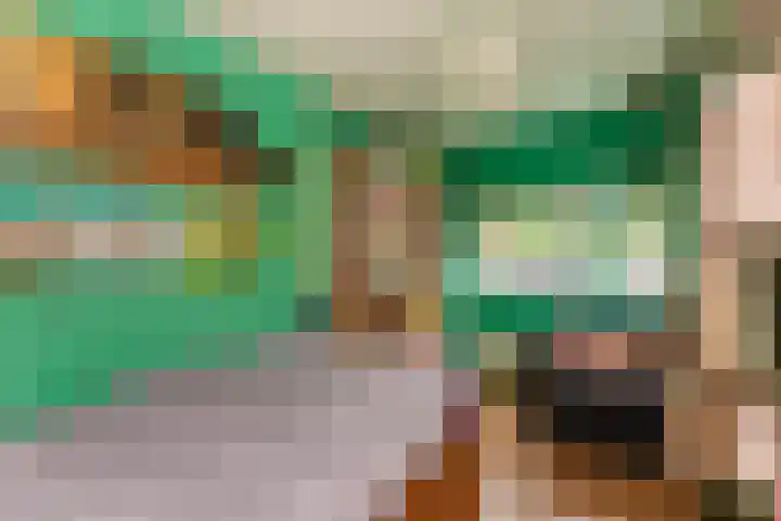 IJsvogel 11 Alblasserdam thumbnail 20