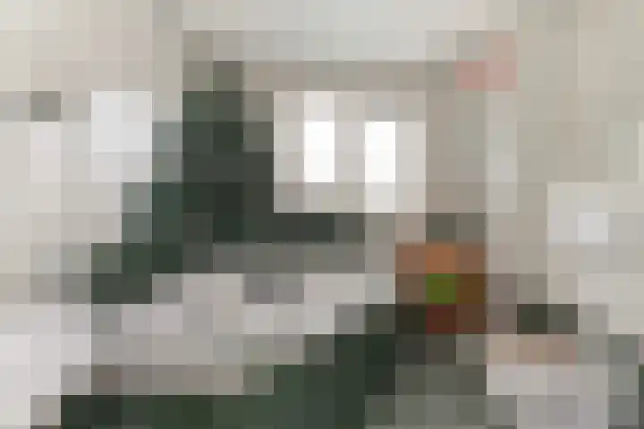 IJsvogel 11 Alblasserdam thumbnail 21