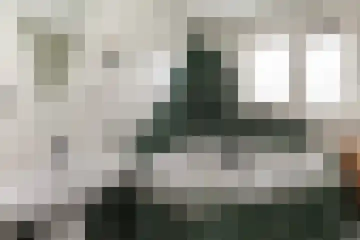 IJsvogel 11 Alblasserdam thumbnail 22
