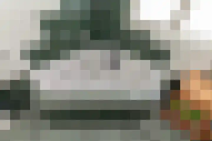 IJsvogel 11 Alblasserdam thumbnail 23
