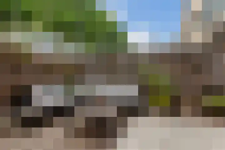 IJsvogel 11 Alblasserdam thumbnail 26