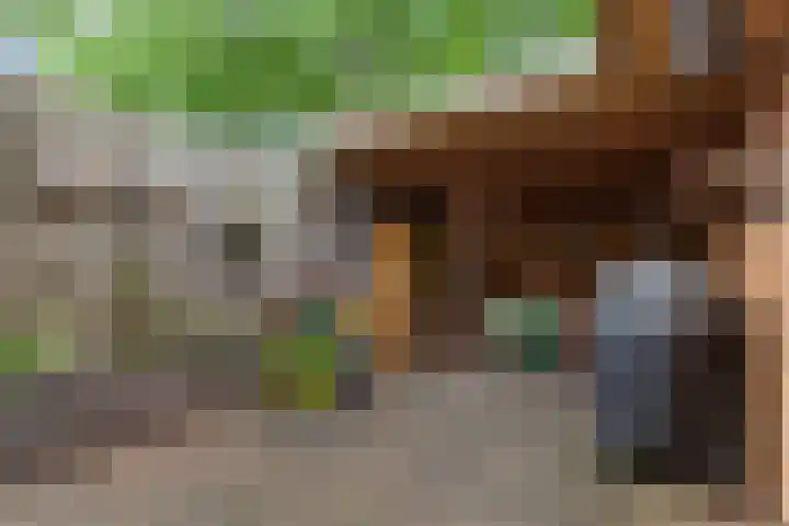 IJsvogel 11 Alblasserdam thumbnail 27
