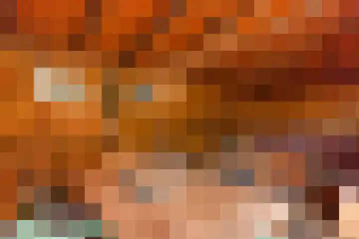 IJsvogel 11 Alblasserdam thumbnail 28
