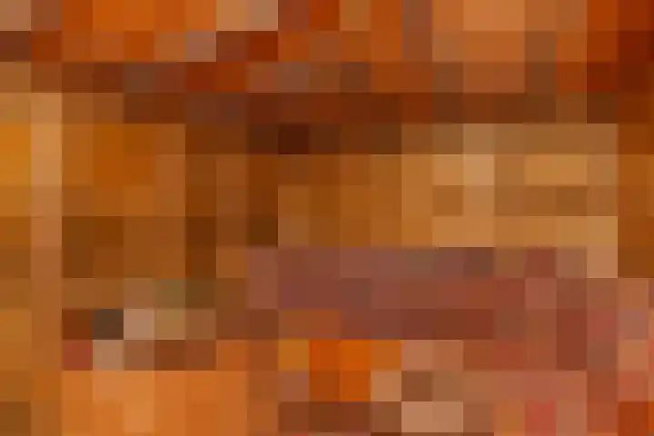 IJsvogel 11 Alblasserdam thumbnail 29