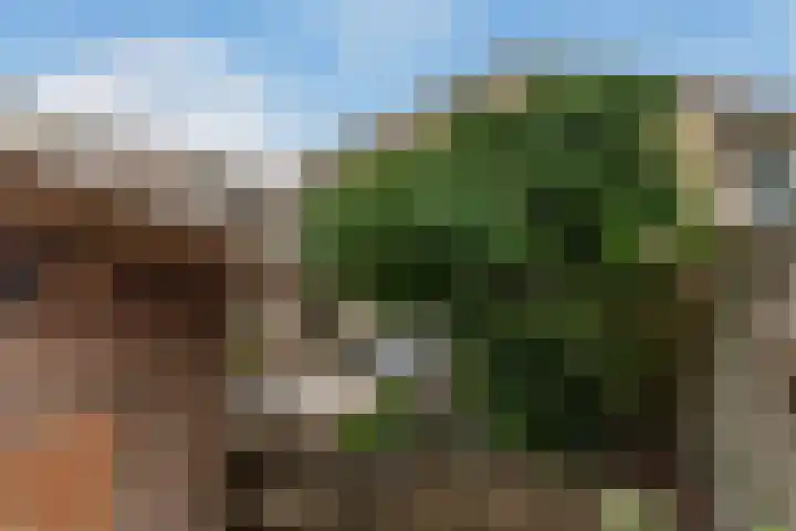IJsvogel 11 Alblasserdam thumbnail 30
