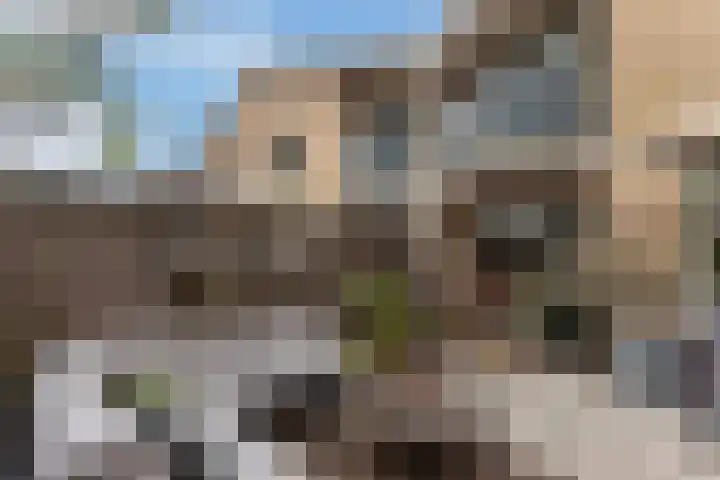 IJsvogel 11 Alblasserdam thumbnail 31