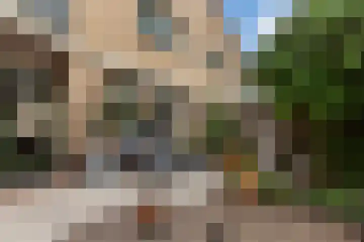 IJsvogel 11 Alblasserdam thumbnail 32
