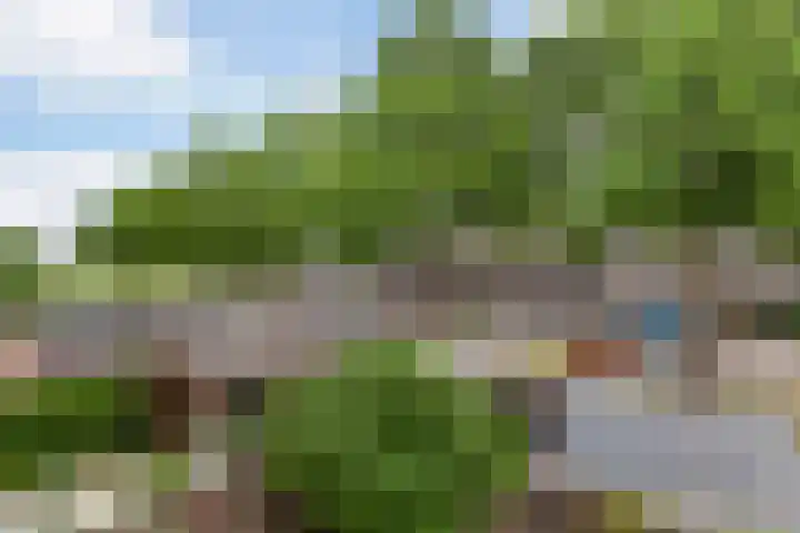 IJsvogel 11 Alblasserdam thumbnail 33