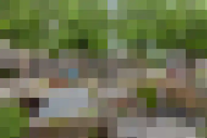IJsvogel 11 Alblasserdam thumbnail 34