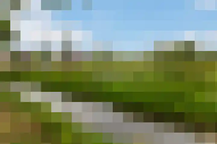 IJsvogel 11 Alblasserdam thumbnail 36