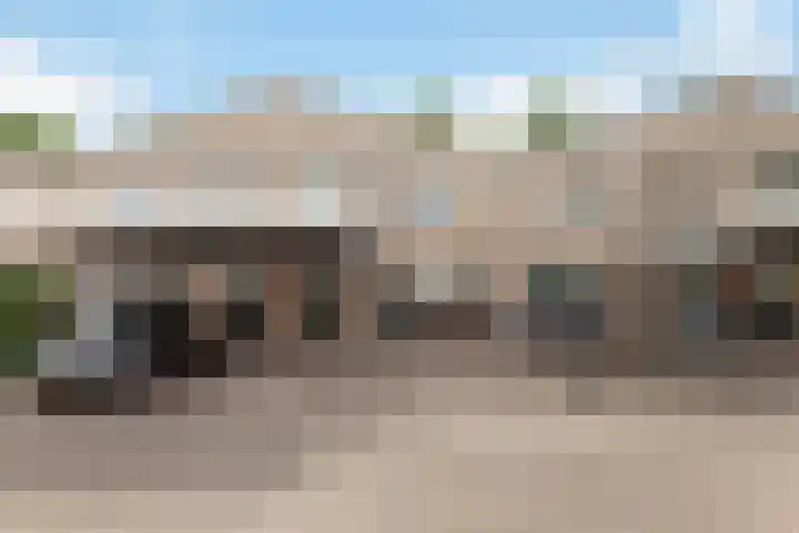 IJsvogel 11 Alblasserdam thumbnail 38