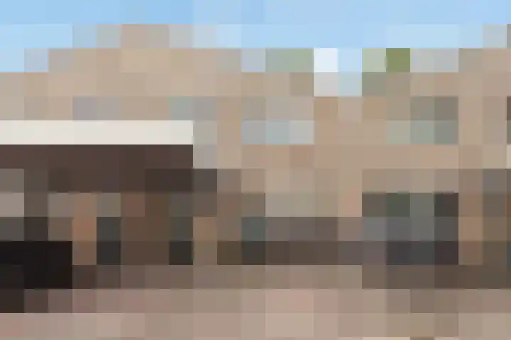 IJsvogel 11 Alblasserdam thumbnail 39