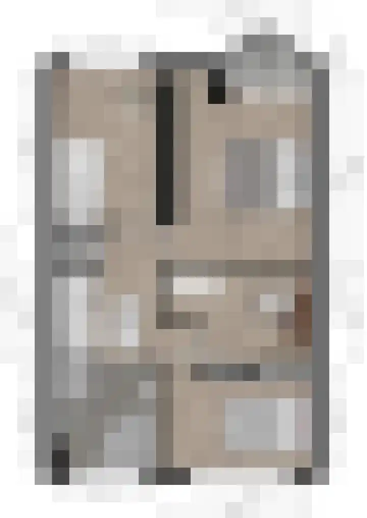 IJsvogel 11 Alblasserdam thumbnail 41