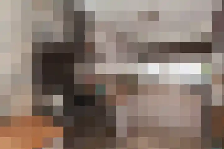 IJsvogel 11 Alblasserdam thumbnail 9