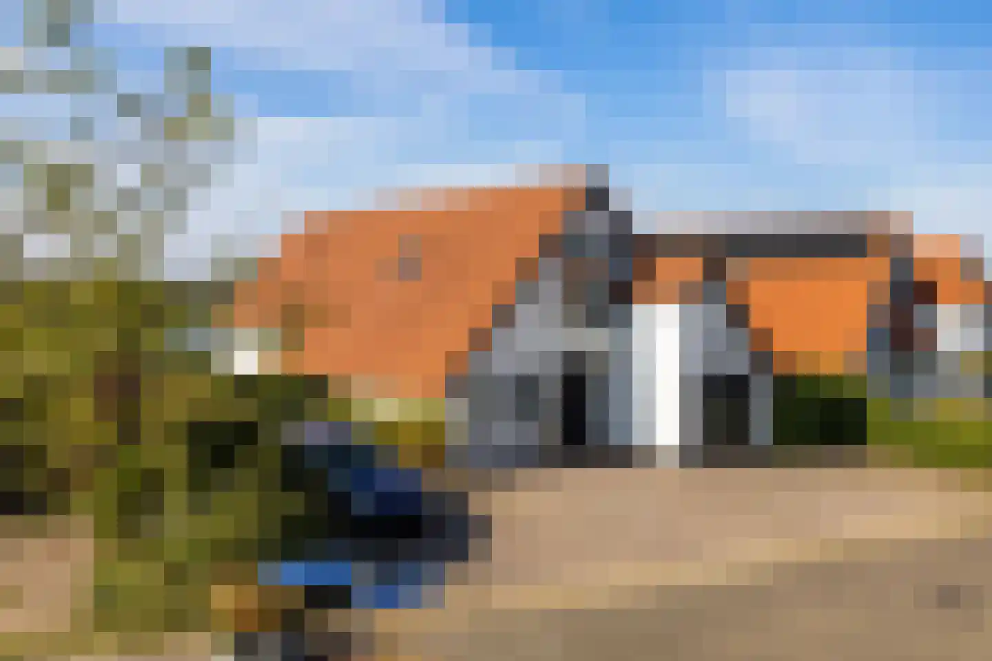 IJsvogel 11 Lathum