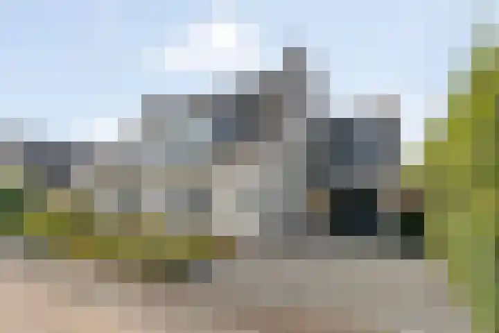 IJsvogel 11 Sliedrecht
