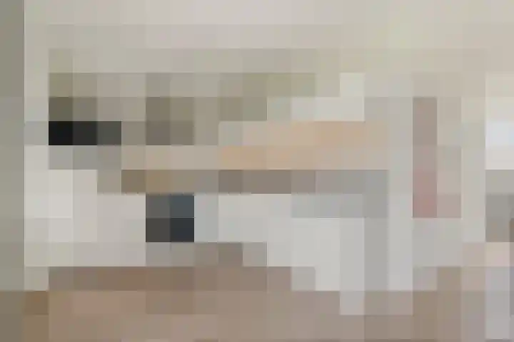 IJsvogel 11 Sliedrecht thumbnail 11
