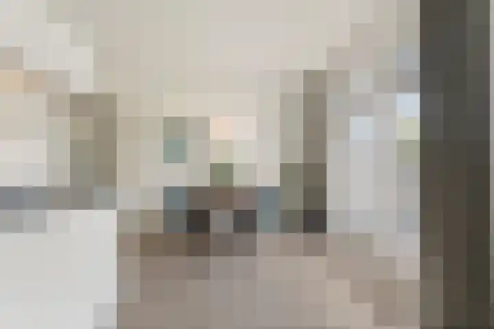 IJsvogel 11 Sliedrecht thumbnail 12