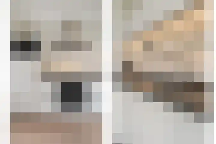 IJsvogel 11 Sliedrecht thumbnail 14