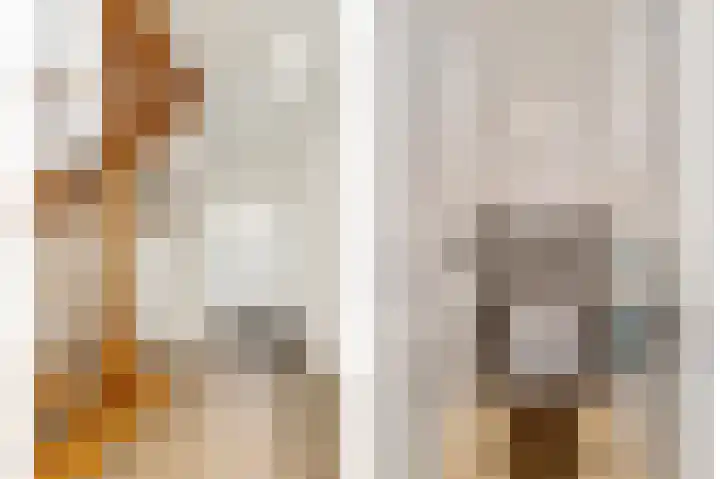 IJsvogel 11 Sliedrecht thumbnail 17