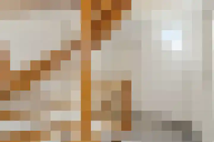IJsvogel 11 Sliedrecht thumbnail 18