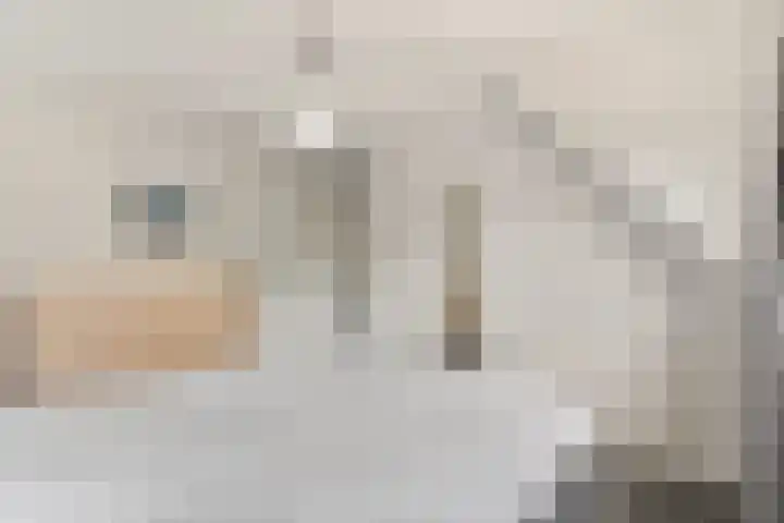 IJsvogel 11 Sliedrecht thumbnail 20