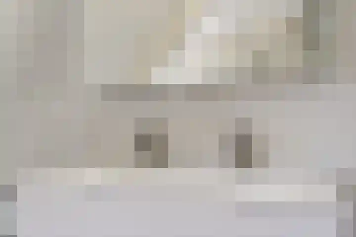 IJsvogel 11 Sliedrecht thumbnail 23
