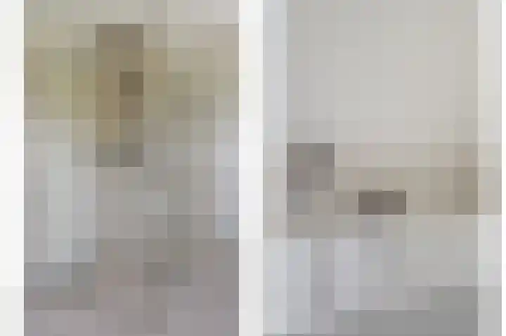 IJsvogel 11 Sliedrecht thumbnail 24