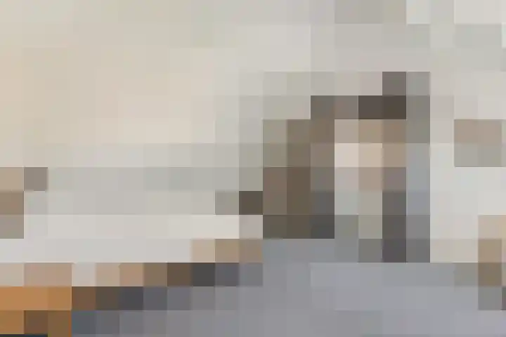 IJsvogel 11 Sliedrecht thumbnail 25