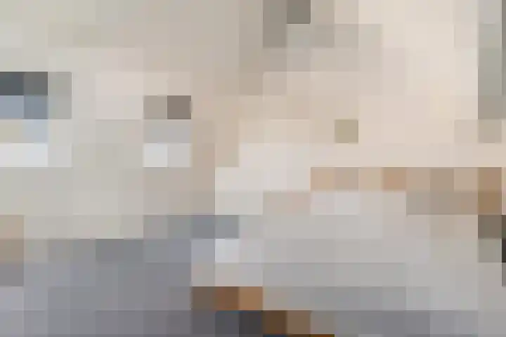 IJsvogel 11 Sliedrecht thumbnail 26
