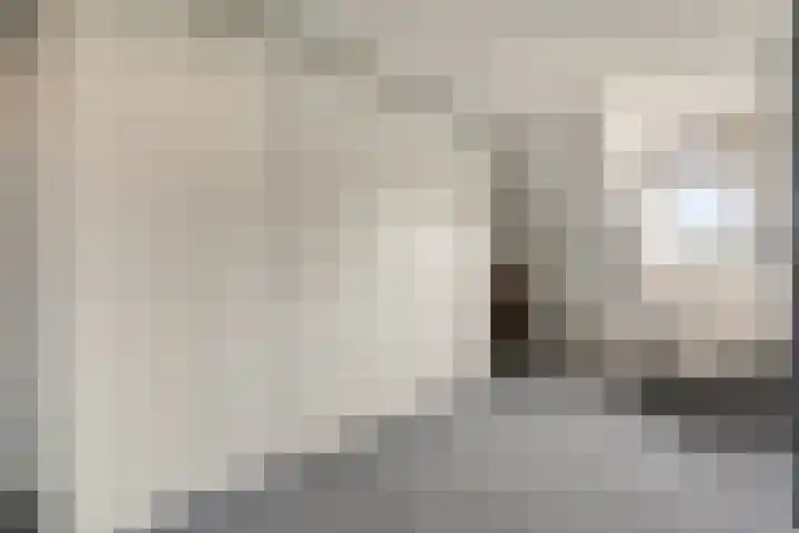 IJsvogel 11 Sliedrecht thumbnail 27