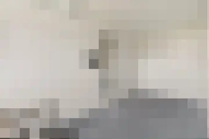 IJsvogel 11 Sliedrecht thumbnail 28