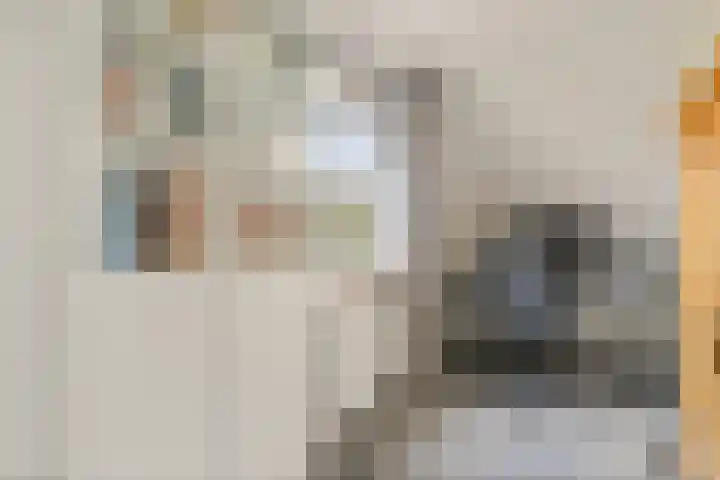 IJsvogel 11 Sliedrecht thumbnail 29