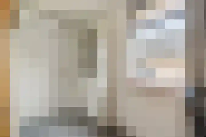 IJsvogel 11 Sliedrecht thumbnail 30