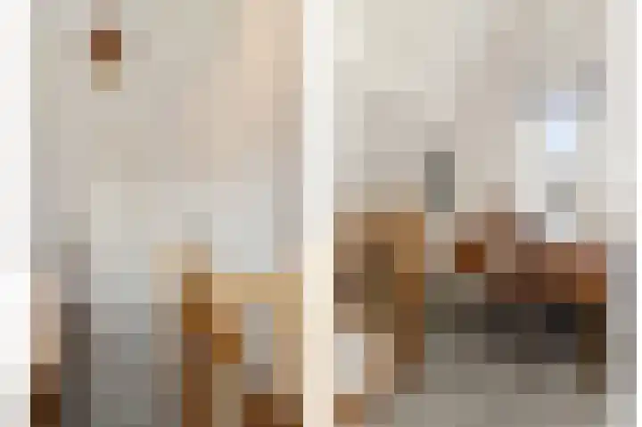 IJsvogel 11 Sliedrecht thumbnail 31