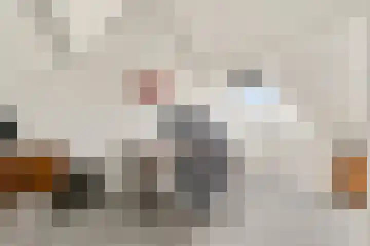 IJsvogel 11 Sliedrecht thumbnail 32