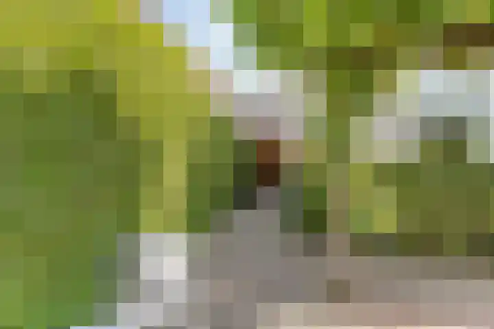 IJsvogel 11 Sliedrecht thumbnail 33