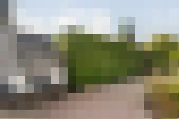 IJsvogel 11 Sliedrecht thumbnail 34