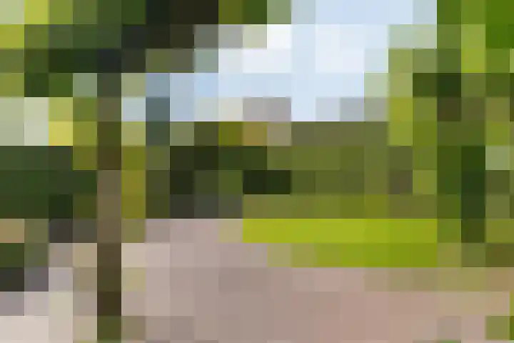 IJsvogel 11 Sliedrecht thumbnail 35