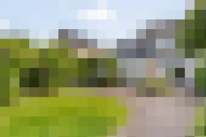 IJsvogel 11 Sliedrecht thumbnail 36