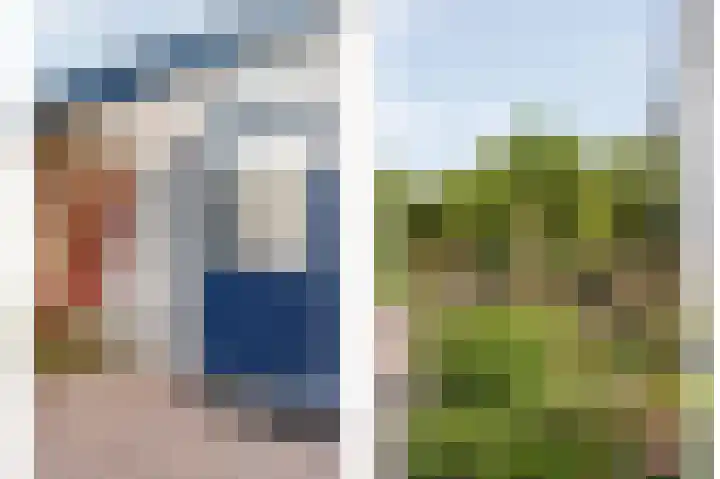 IJsvogel 11 Sliedrecht thumbnail 37