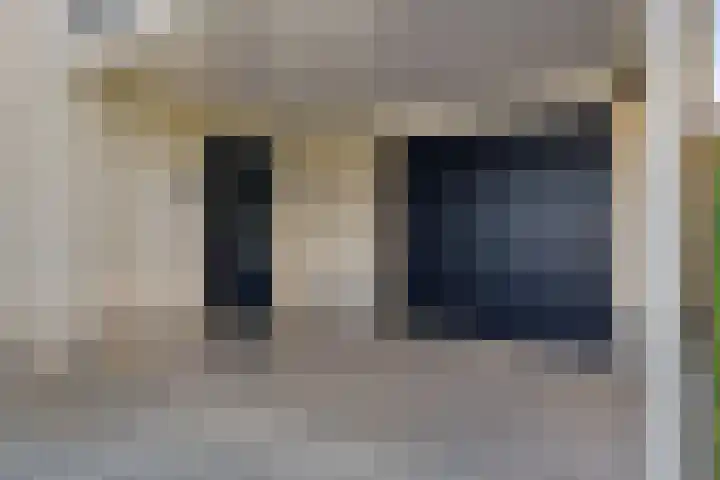 IJsvogel 11 Sliedrecht thumbnail 4